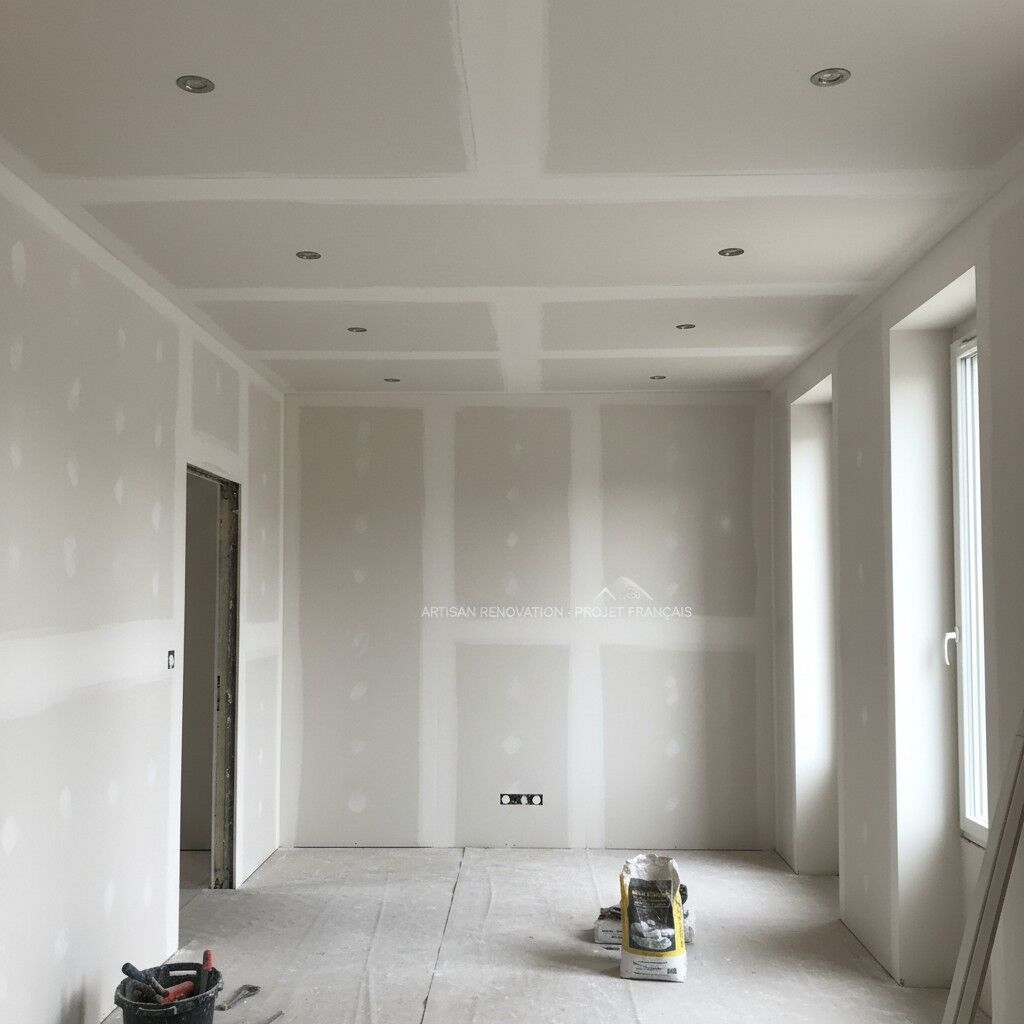 Projet de Plaquiste - Photo 3